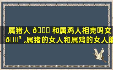 属猪人 🐘 和属鸡人相克吗女 🐳 ,属猪的女人和属鸡的女人能相处吗